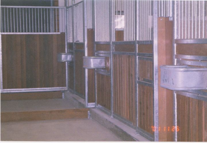 Pferdeboxen mit Holzverkleidung