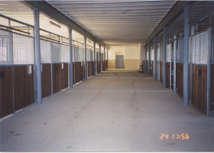 Pferdeboxen mit Holzverkleidung