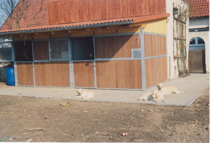 Stalltore, Fenstergitter und Einbauten